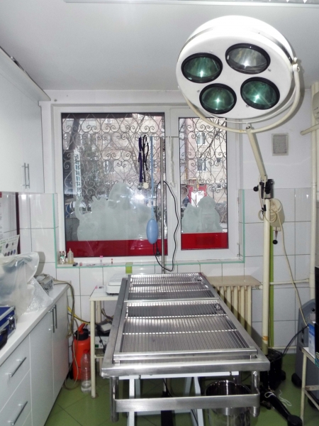 Cabinet veterinar Lamy Vet Aleea Topoloveni